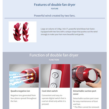 Koizumi Seiki Monster Double Fan Hair Dryer (KHD-W720/SR)