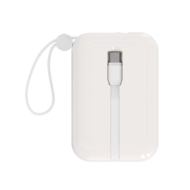 Philips 10000mAh Powerbank 22.5W Fast Charge Built-in USB Type C Cable (DLP2228)