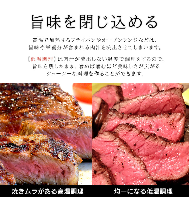 Iris Ohyama Sous Vide Low Temperature Cooker, Black (LTC-01)