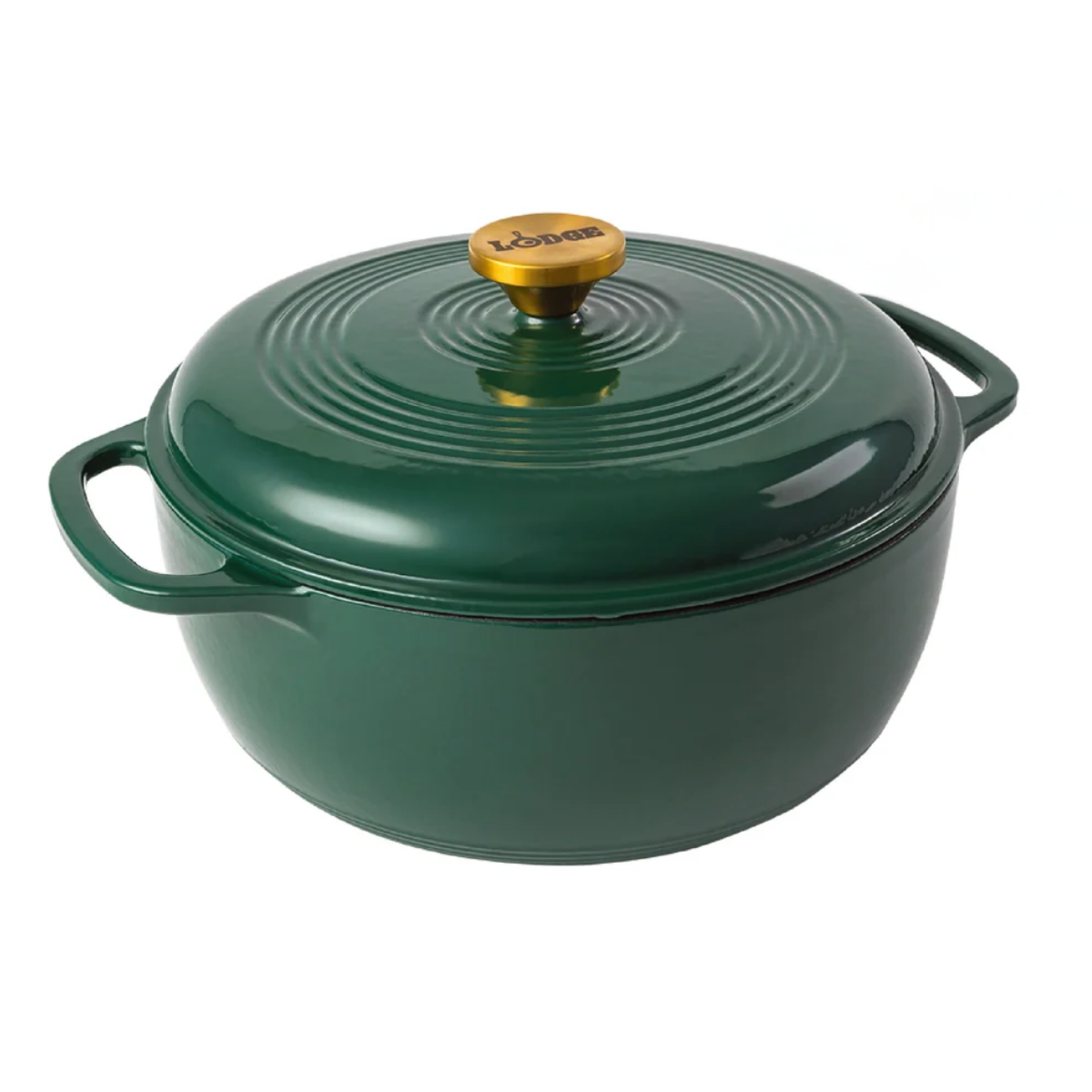 Lodge Cast Iron 6 Quart Enameled Cast Iron Dutch Oven (EC6D)