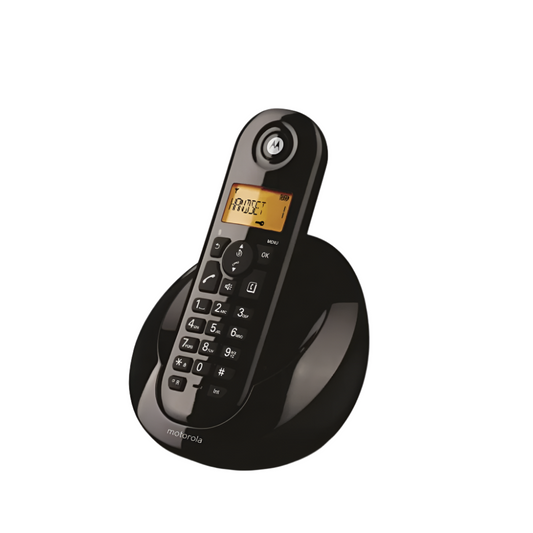 Motorola Cordless Phone Set (C602)